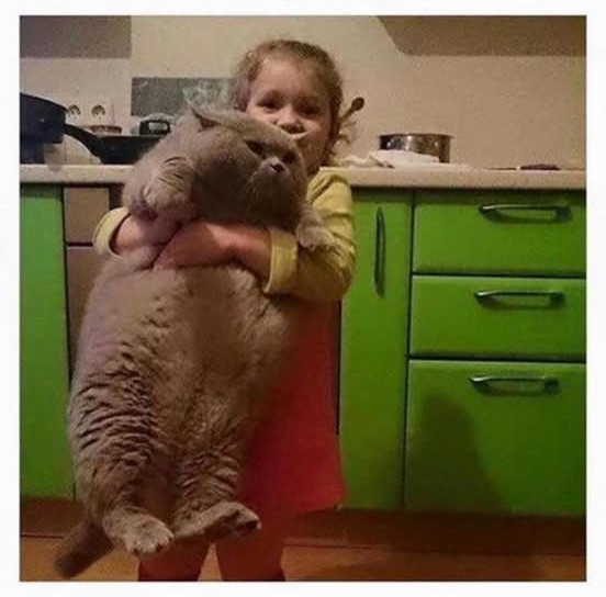 Next.js Conf photo